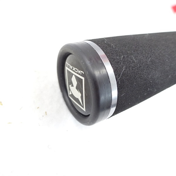 ２１ＢＰＭＢ１－Ｃ６１０Ｌ＋ＬＭ